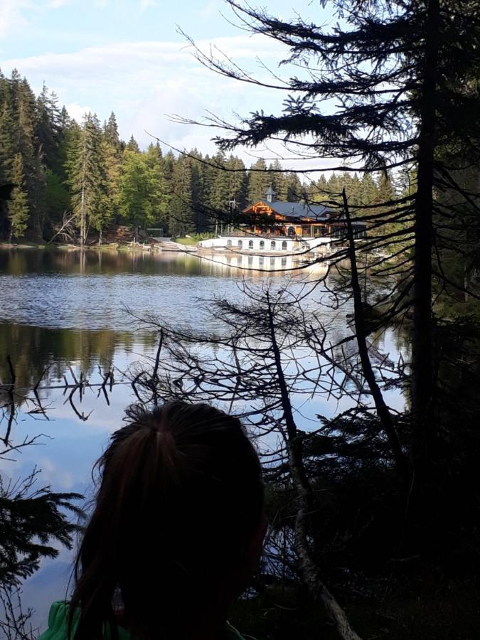 Landhaus Erna Hotell Böbrach Exteriör bild